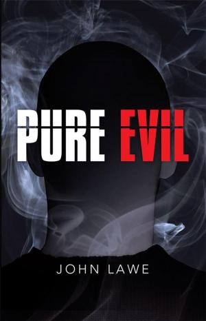 Cover of the book Pure Evil by Karl L. Dahlstrom