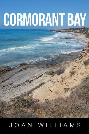 Book cover of Cormorant Bay