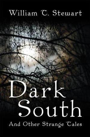 Cover of the book Dark South by Jim Chernesky
