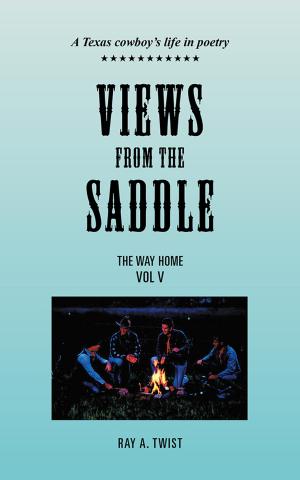 Cover of the book Views from the Saddle by Dominic Goncalves