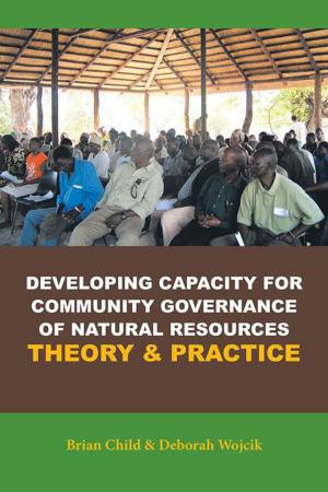 Cover of the book Developing Capacity for Community Governance of Natural Resources Theory & Practice by Bri B.