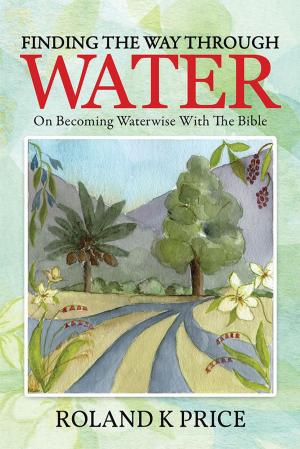Cover of the book Finding the Way Through Water by Vanessa Rayner