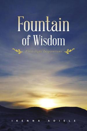 Cover of the book Fountain of Wisdom by Willa Dawn Cotton