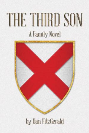 Cover of the book The Third Son by Herbert W. Benario