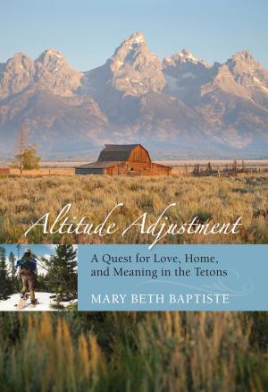 Book cover of Altitude Adjustment
