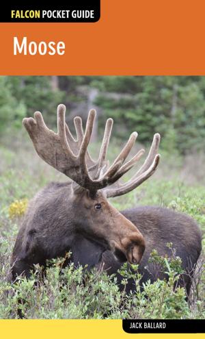 Cover of the book Moose by Justin Lichter, Justin Kline