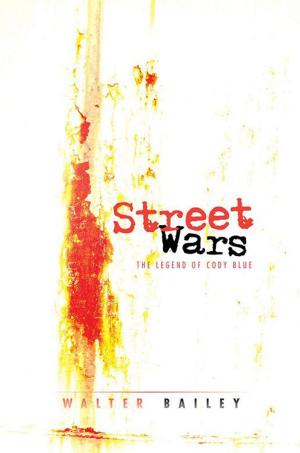 Cover of the book Street Wars by N. K. Beckley
