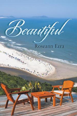 Cover of the book Beautiful by Bahadir Gezer