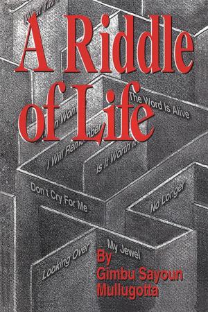 Cover of the book A Riddle of Life by Lee Thayer