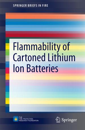 Book cover of Flammability of Cartoned Lithium Ion Batteries