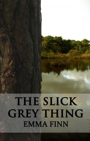 Book cover of The Slick Grey Thing