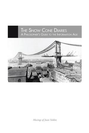 Cover of the book The Snow Cone Diaries by Laura LM