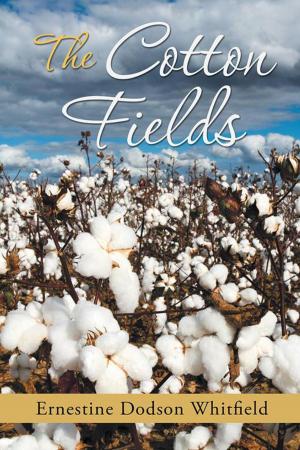 Cover of the book The Cotton Fields by Carrie Cameron