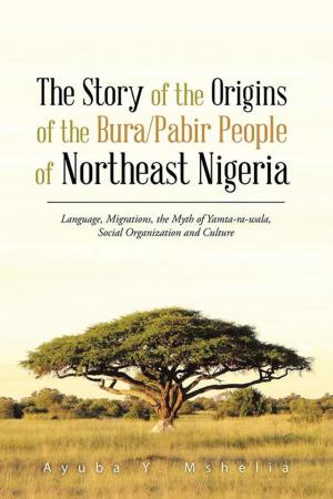 Book cover of The Story of the Origins of the Bura/Pabir People of Northeast Nigeria