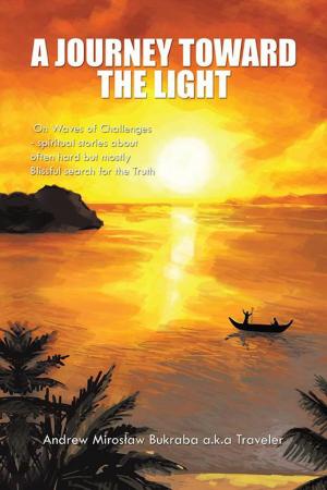 bigCover of the book A Journey Toward the Light by 
