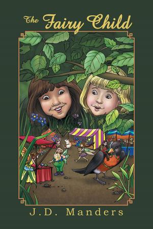 Cover of the book The Fairy Child by Cindy Ruth Stuve