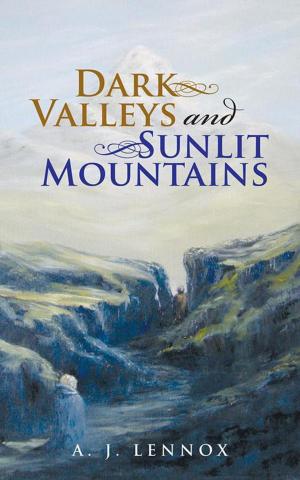 Cover of the book Dark Valleys and Sunlit Mountains by Olanda Carr Jr.