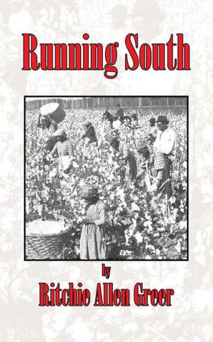 Cover of the book Running South by Thomas A. Phelan