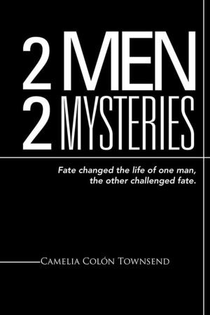 Cover of the book 2 Men 2 Mysteries by Stephanie Condella