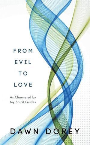 Cover of the book From Evil to Love by Janet Mayer