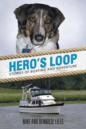 bigCover of the book Hero's Loop by 