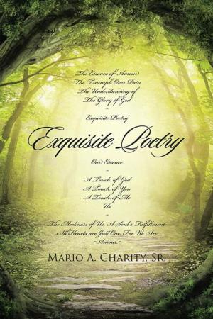 Cover of the book Exquisite Poetry by Jillian Carmichael