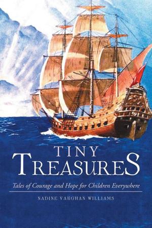 Book cover of Tiny Treasures