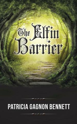 Cover of the book The Elfin Barrier by lonnie trott