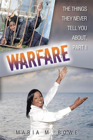 Cover of the book Warfare by Daniel R. Perry