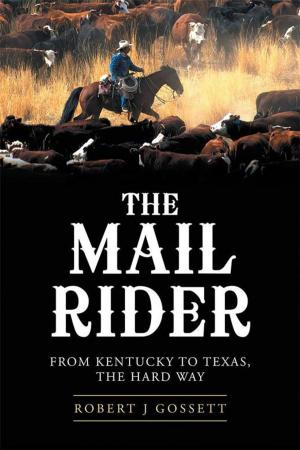 Cover of the book The Mail Rider by Ashbel Vudzijena
