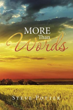 Cover of the book More Than Words by Geoffrey A. Todd