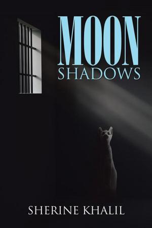 Cover of the book Moon Shadows by Brook ZR Mthethwa