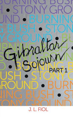 Cover of the book Burning Bush Stony Ground by Uyi Eguavoen