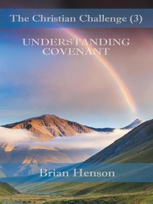 bigCover of the book The Christian Challenge (3) by 