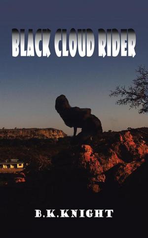 Cover of the book Black Cloud Rider by Linda Rosa