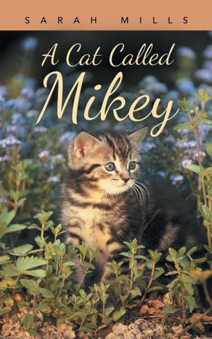 Cover of the book A Cat Called Mikey by Colleen Dione Taylor-Rowe
