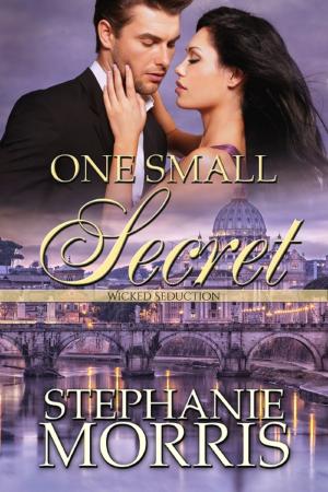 Book cover of One Small Secret