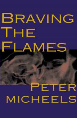 Cover of the book Braving the Flames by Upton Sinclair