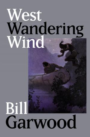 Cover of the book West Wandering Wind by Vance Bourjaily