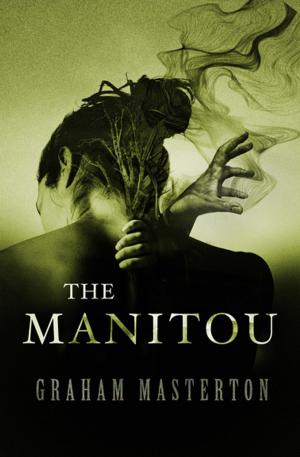 Book cover of The Manitou