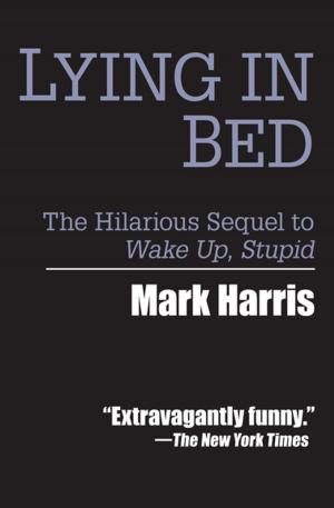 Cover of the book Lying in Bed by Aaron Elkins