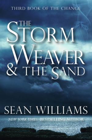 Book cover of The Storm Weaver & the Sand