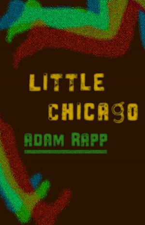 Cover of the book Little Chicago by Rachel Simon