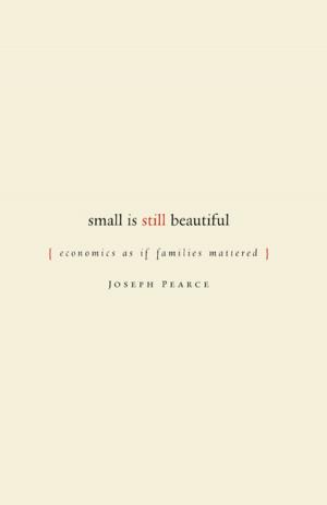 Cover of the book Small Is Still Beautiful by Brian Domitrovic