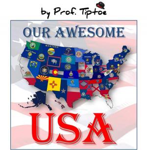 Cover of the book My Awsome USA by Laura Sommers