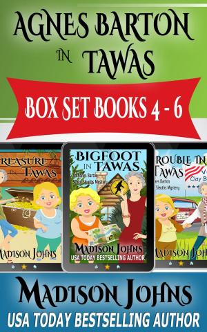 Cover of the book Agnes Barton In Tawas Box Set (Books 4-6) by Madison Johns