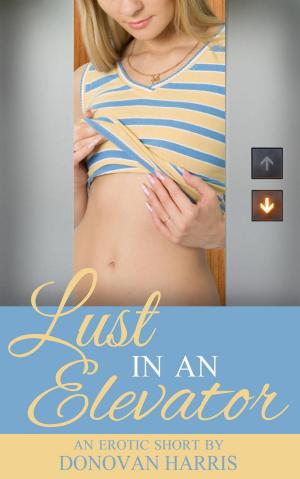 Cover of the book Lust in an Elevator (An Erotic Short) by Thang Nguyen