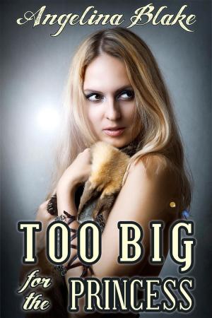 bigCover of the book Too Big for the Princess by 