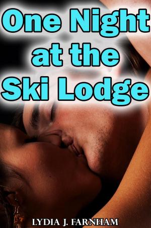 Book cover of One Night at the Ski Lodge (Group Sex Erotica)