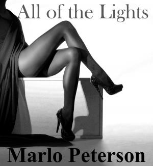 Cover of the book All of the Lights by Jenna Payne